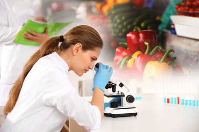 Image of Scientist using modern microscope at table in laboratory. Food quality analysis