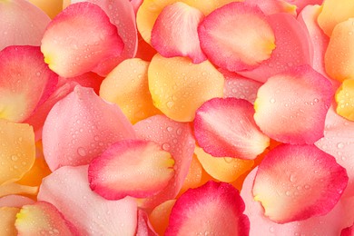 Photo of Pile of fresh rose petals with water drops as background, top view