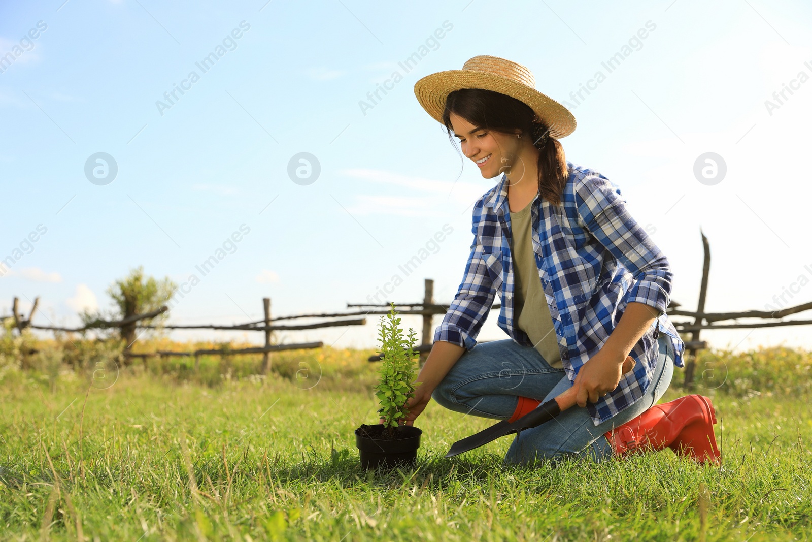 Photo of Young woman planting tree in countryside on sunny day, space for text