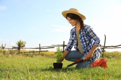 Photo of Young woman planting tree in countryside on sunny day, space for text