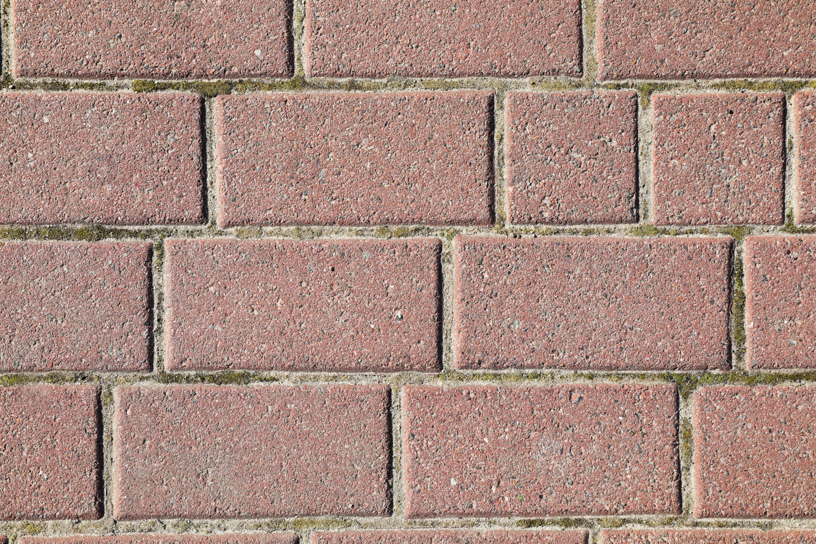 Photo of Texture of pink brick wall as background