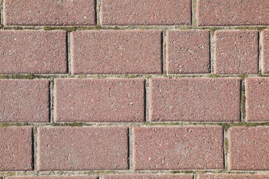 Photo of Texture of pink brick wall as background