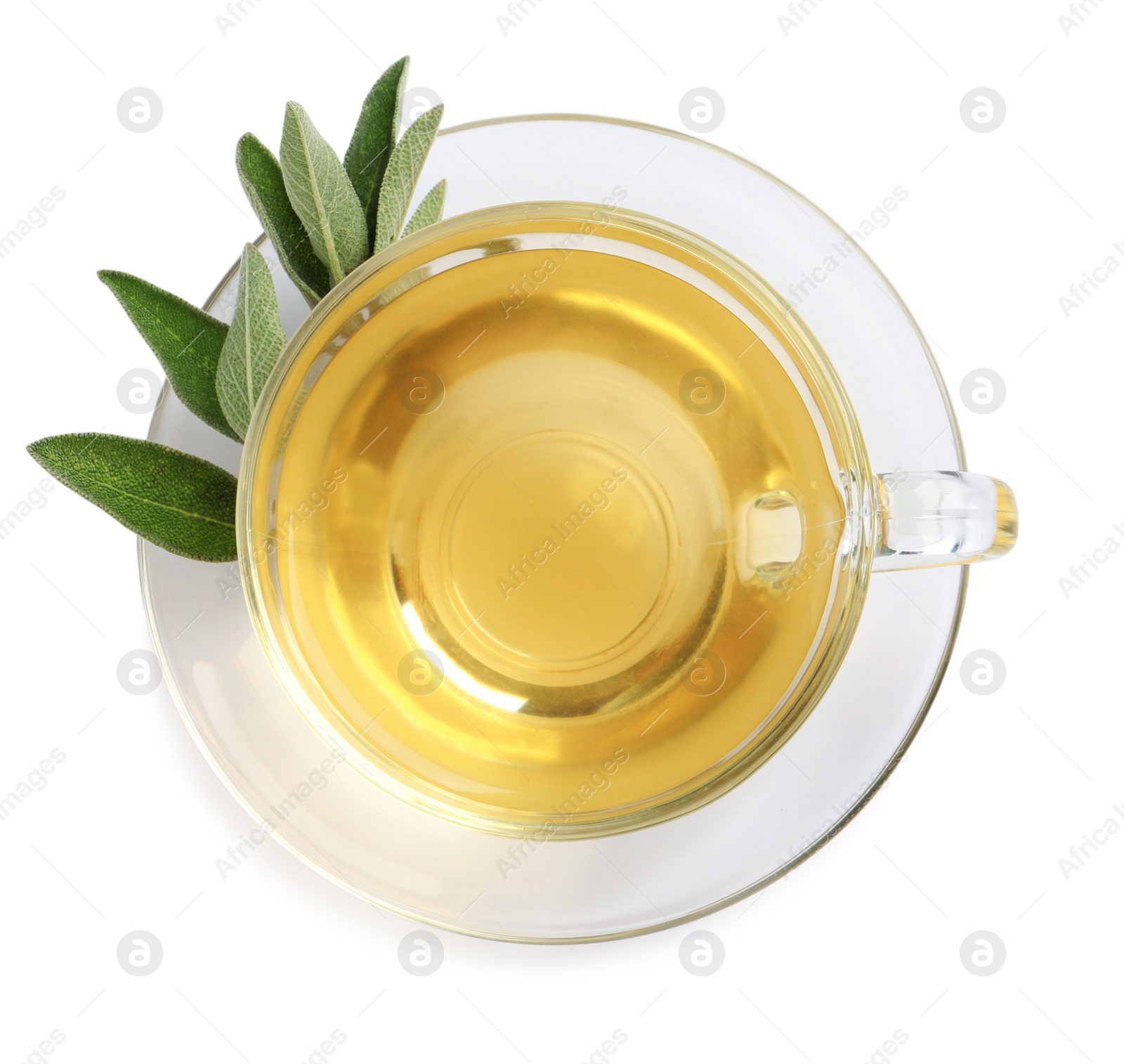 Photo of Cup of aromatic sage tea and fresh leaves isolated on white, top view