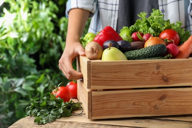 Photo of Farmer with crate full of different vegetables and fruits outdoors, closeup. Harvesting time