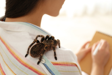 Young woman with striped knee tarantula on shoulder at home, closeup. Space for text