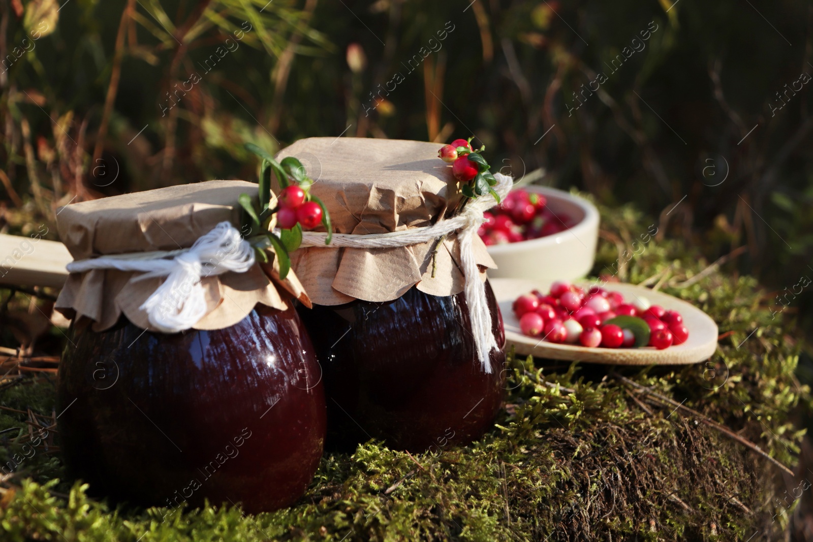 Photo of Jars of delicious lingonberry jam and red berries outdoors, space for text