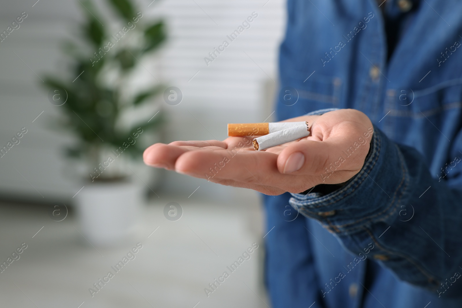 Photo of Quitting smoking concept. Woman holding broken cigarette on blurred background, closeup. Space for text