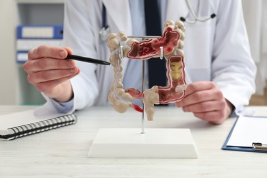 Photo of Doctor showing model of large intestine at white wooden table in clinic, selective focus