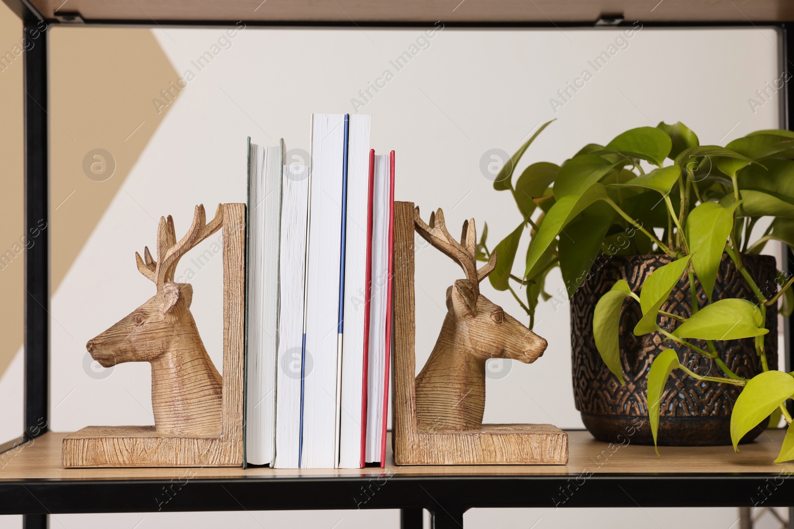 Photo of Wooden deer shaped bookends with books and plant on shelf indoors