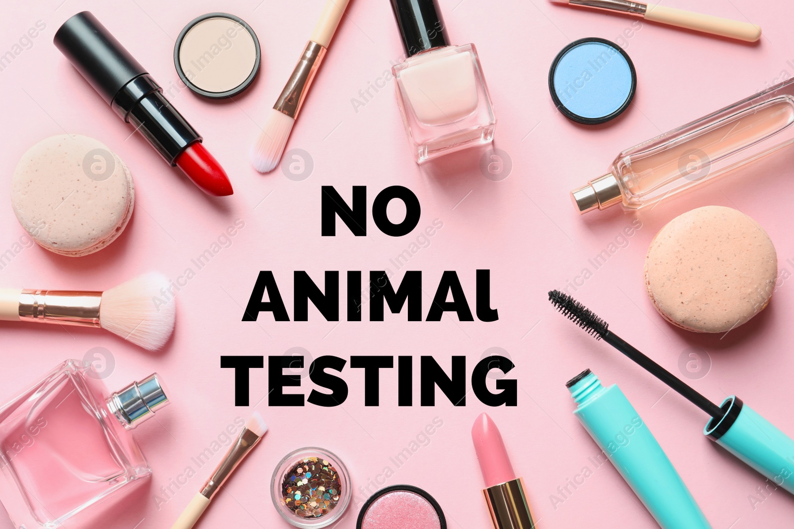 Cosmetic products and text NO ANIMAL TESTING on pink background, flat