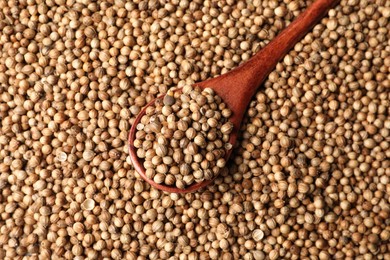 Photo of Dried coriander seeds and wooden spoon, top view