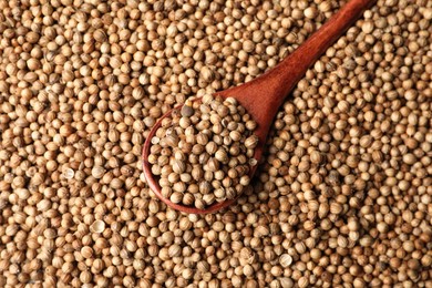 Dried coriander seeds and wooden spoon, top view