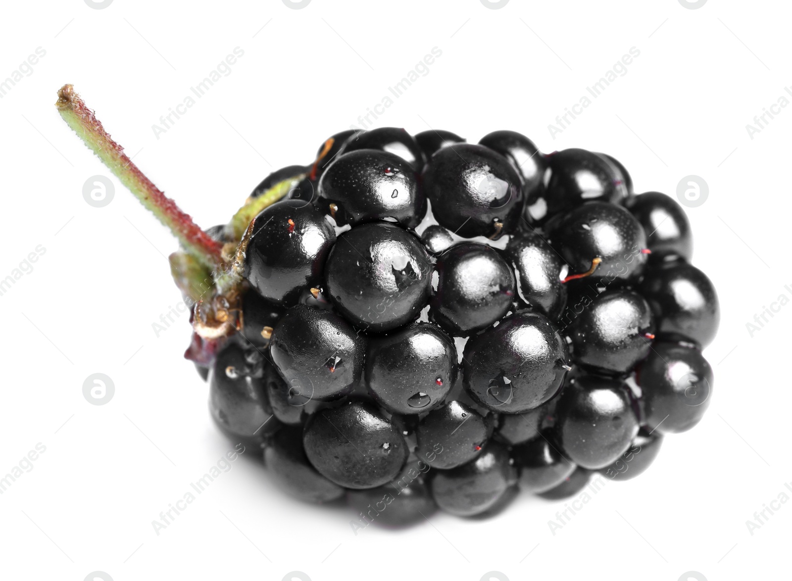 Photo of One tasty ripe blackberry isolated on white