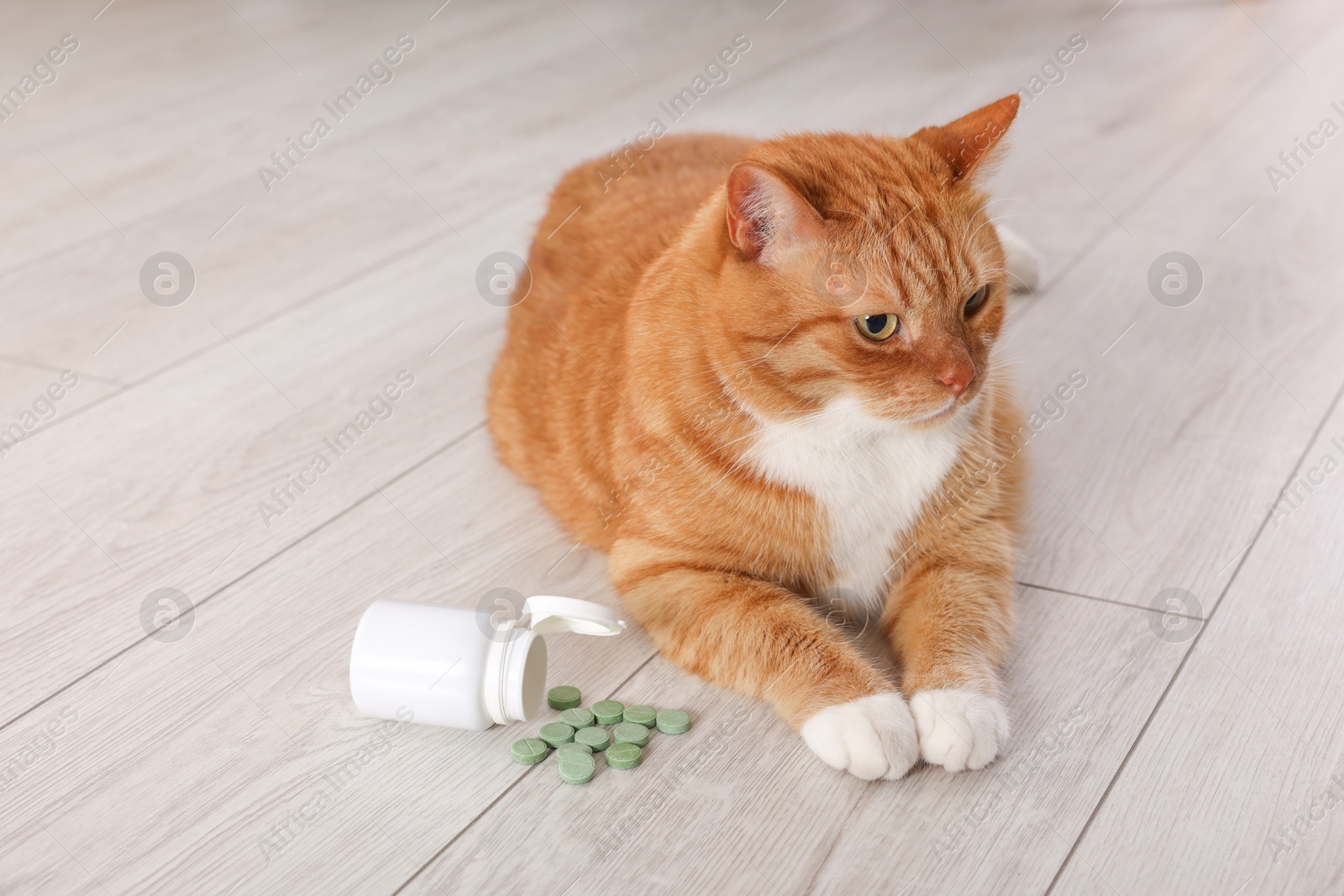 Photo of Cute ginger cat and vitamin pills indoors