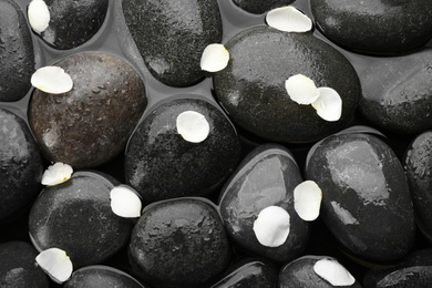 Photo of Spa stones with flower petals in water, top view. Zen lifestyle