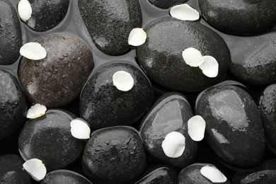 Spa stones with flower petals in water, top view. Zen lifestyle