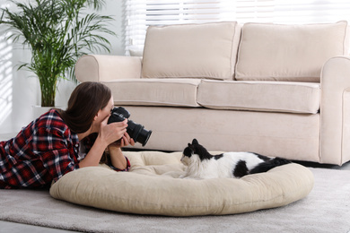 Professional animal photographer taking picture of beautiful cat at home