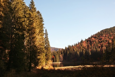 Beautiful mountain landscape with forest near water