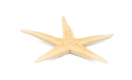 Beautiful starfish on white background. Beach object