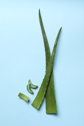 Cut aloe vera leaves on light blue background, flat lay