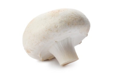 Photo of Fresh raw champignon mushroom on white background