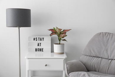 Photo of Houseplant and lightbox with hashtag STAY AT HOME on table indoors. Message to promote self-isolation during COVID‑19 pandemic