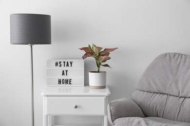 Houseplant and lightbox with hashtag STAY AT HOME on table indoors. Message to promote self-isolation during COVID‑19 pandemic