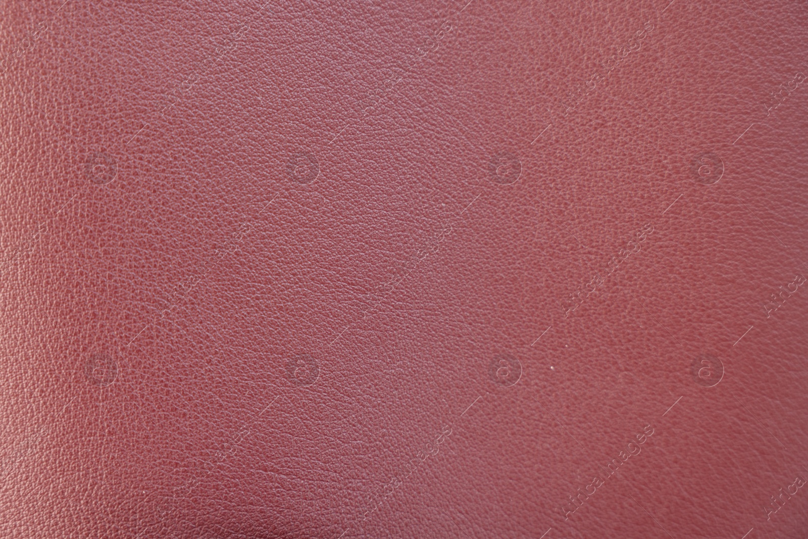 Photo of Texture of leather as background, closeup view