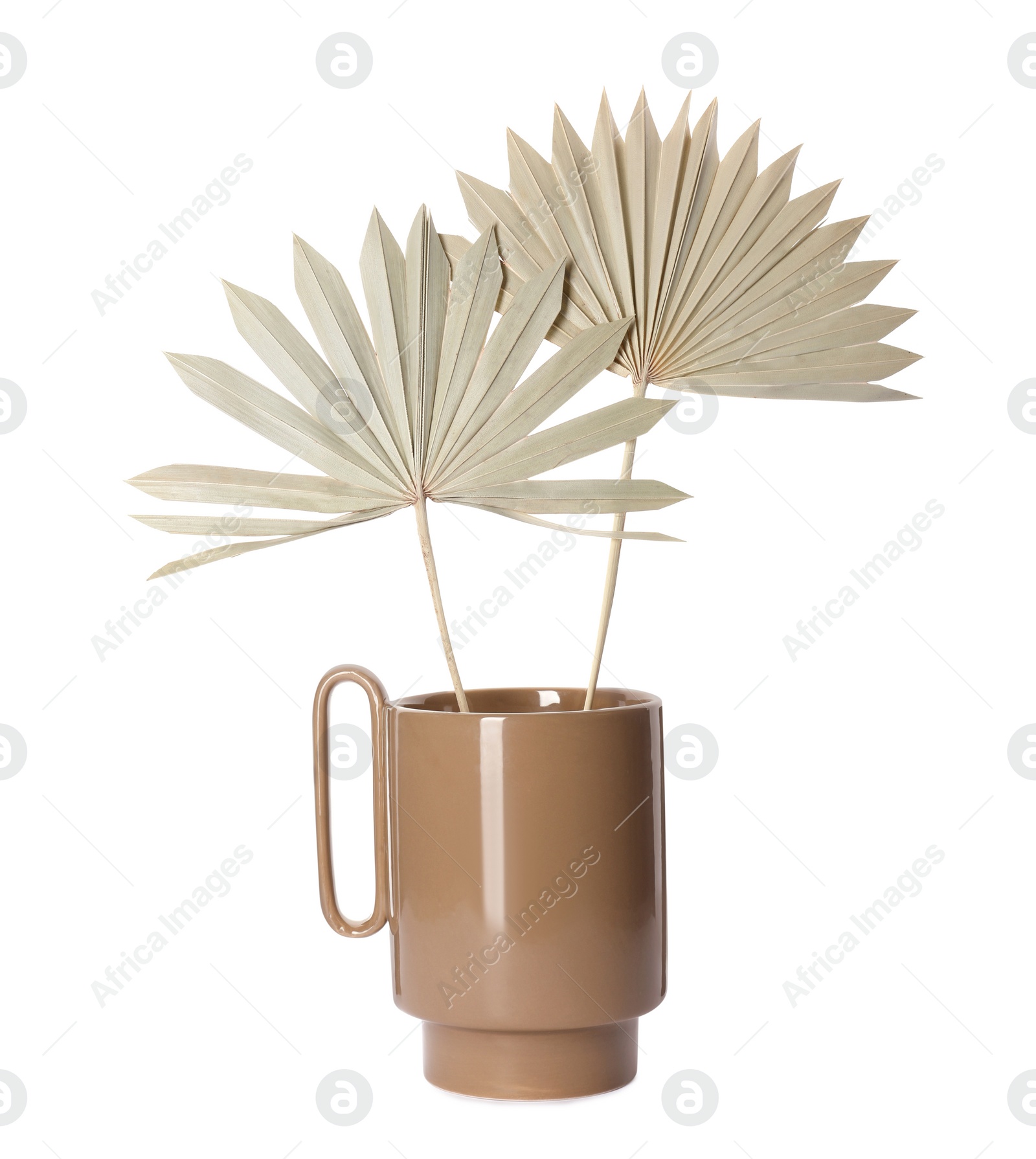 Photo of Stylish ceramic vase with dry leaves on white background