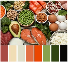 Top view of different products rich in protein and color palette. Collage