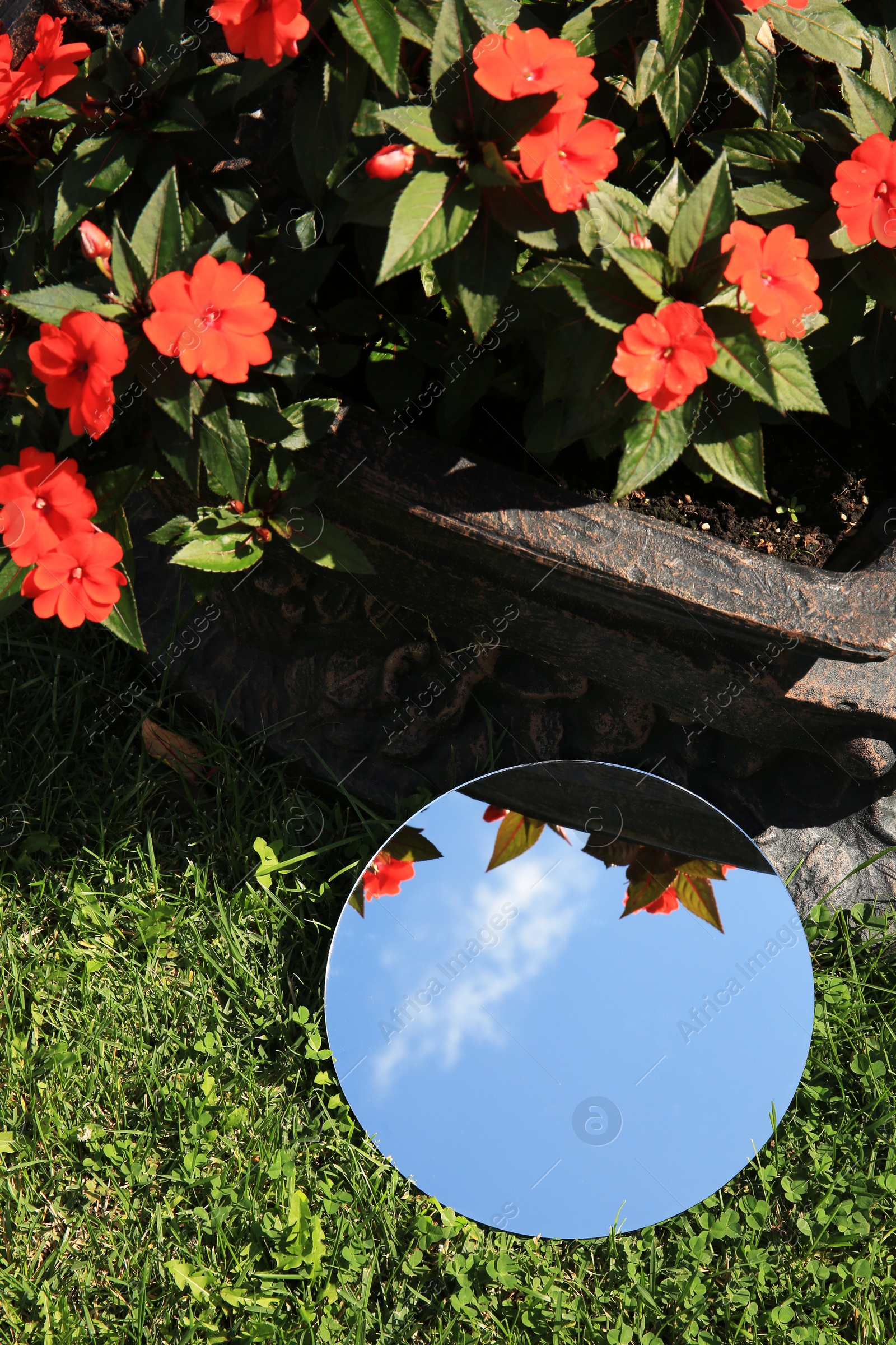 Photo of Round mirror on green grass reflecting sky and beautiful flowers, above view