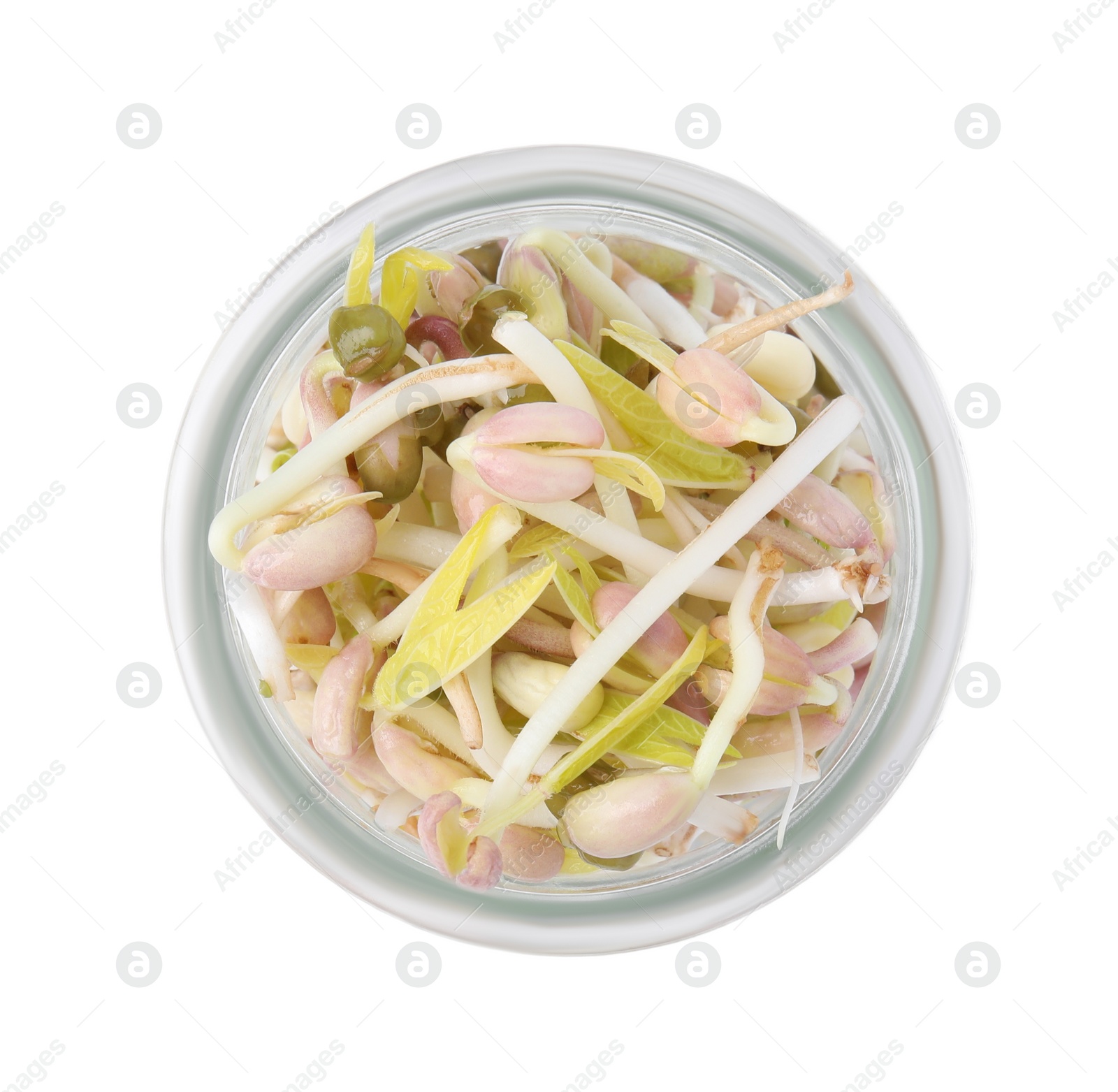 Photo of Mung bean sprouts in glass jar isolated on white, top view