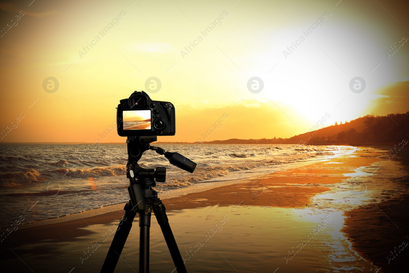 Image of Taking photo of beautiful sandy beach at sunset with camera mounted on tripod