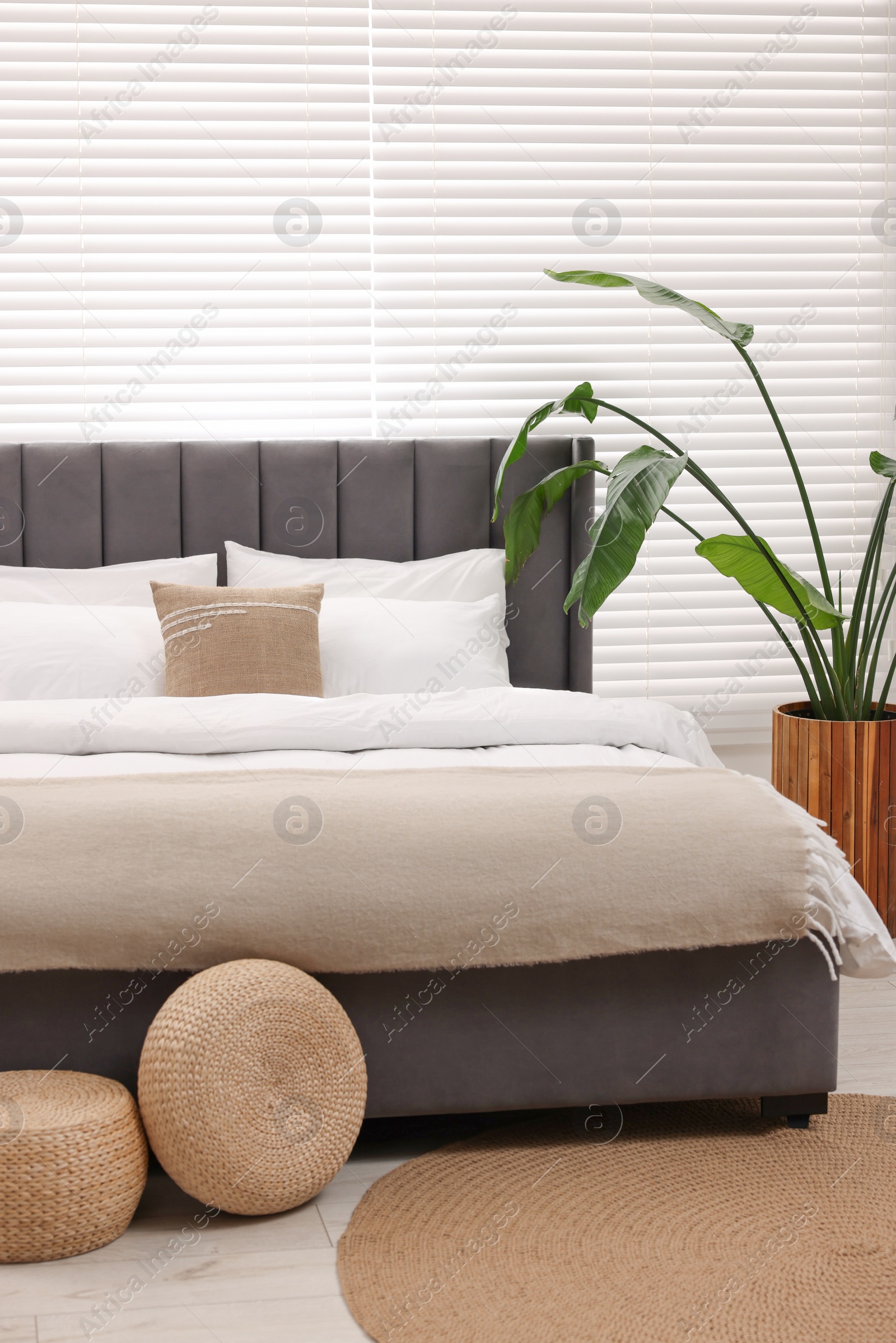 Photo of Stylish bedroom interior with large bed and houseplant