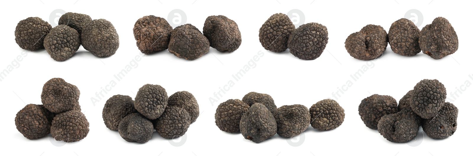 Set with expensive delicious black truffles on white background. Banner design Image of Set with expensive delicious black truffles on white background. Banner design