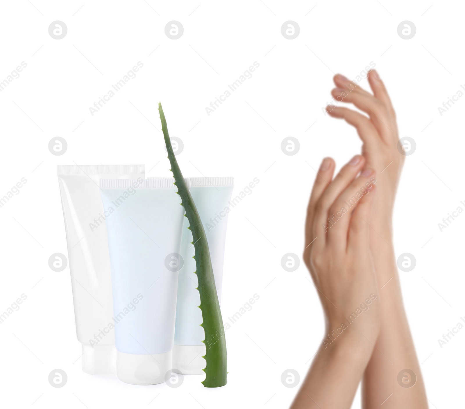 Image of Woman with moisturized skin, tubes with hand cream and aloe on white background, closeup