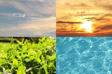 Collage with photos of water, green plants, blue sky and sun. Beautiful nature 