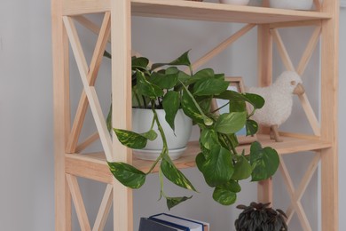 Beautiful houseplant and home decor on wooden shelving unit near light wall