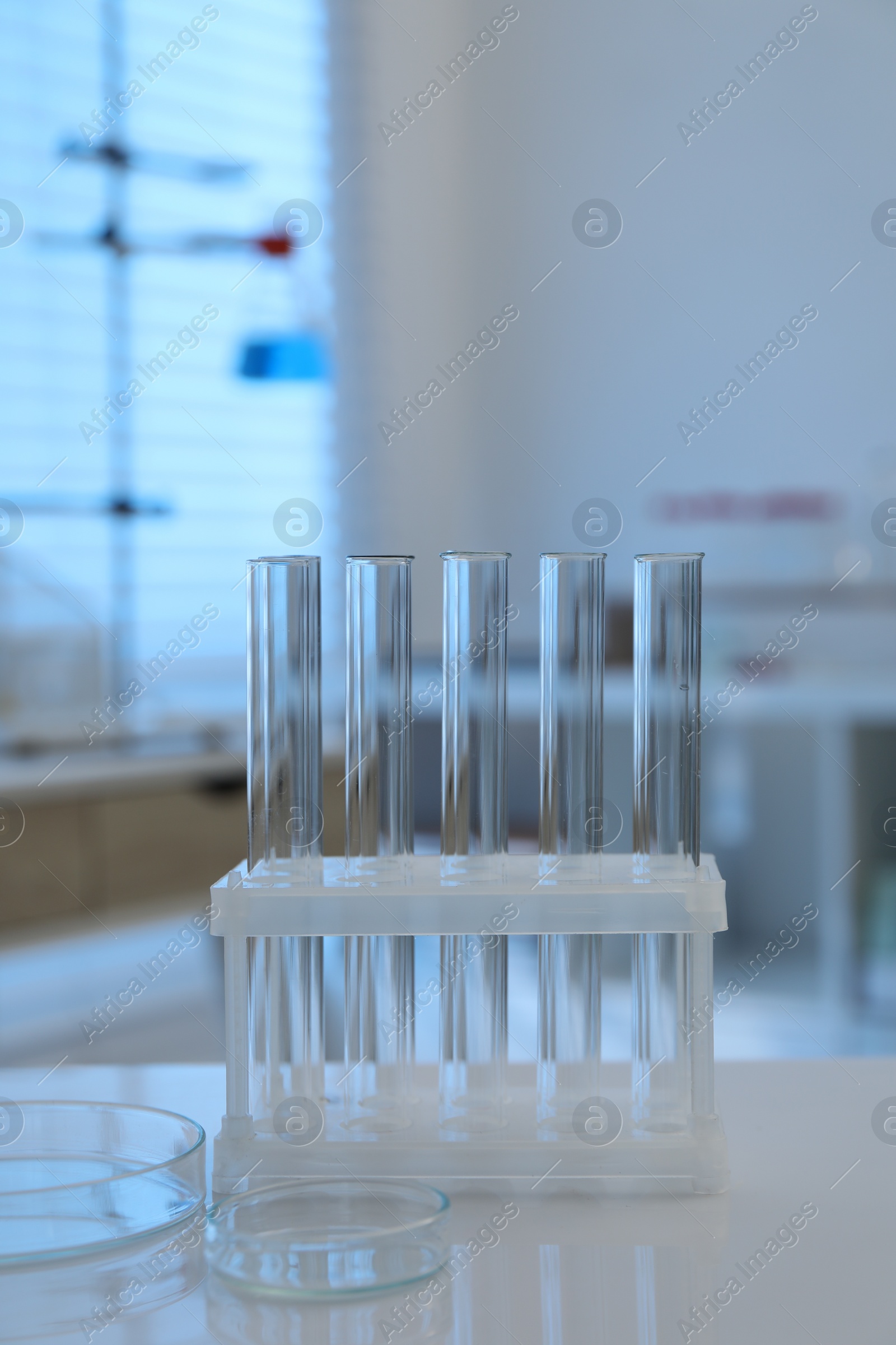 Photo of Laboratory analysis. test tubes and petri dishes on white table indoors