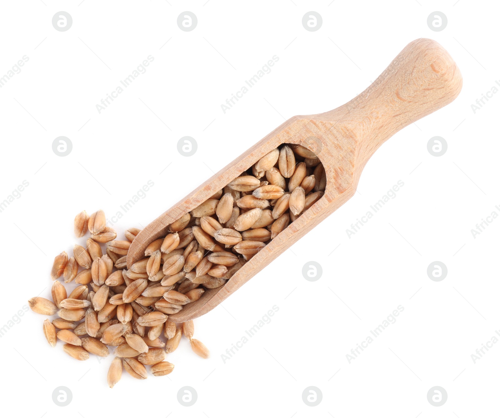 Photo of Wooden scoop with wheat grains on white background, top view