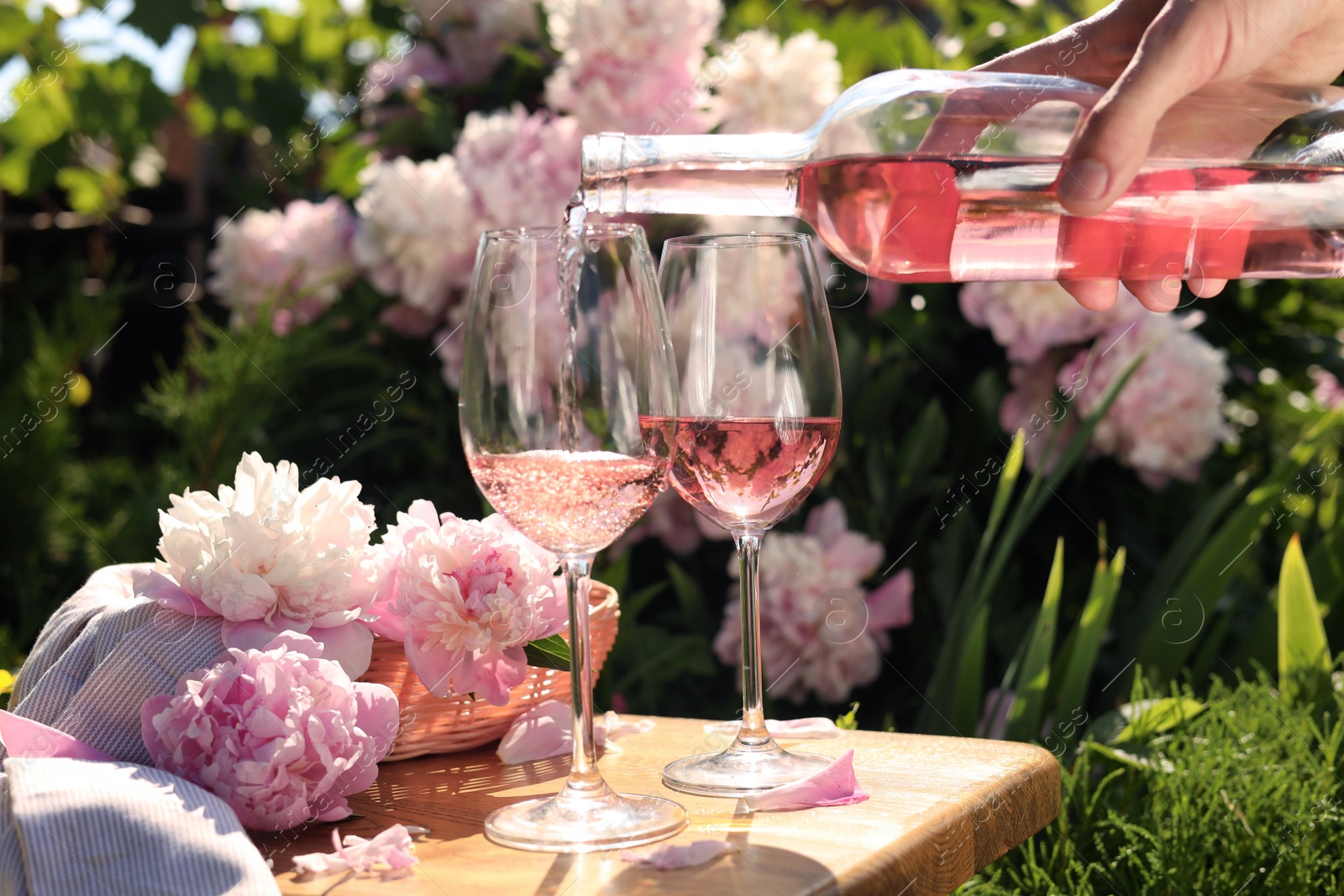 Photo of Woman pouring rose wine into glass at table in garden, closeup