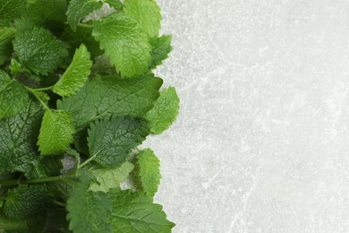 Fresh green lemon balm leaves on light grey table, flat lay. Space for text