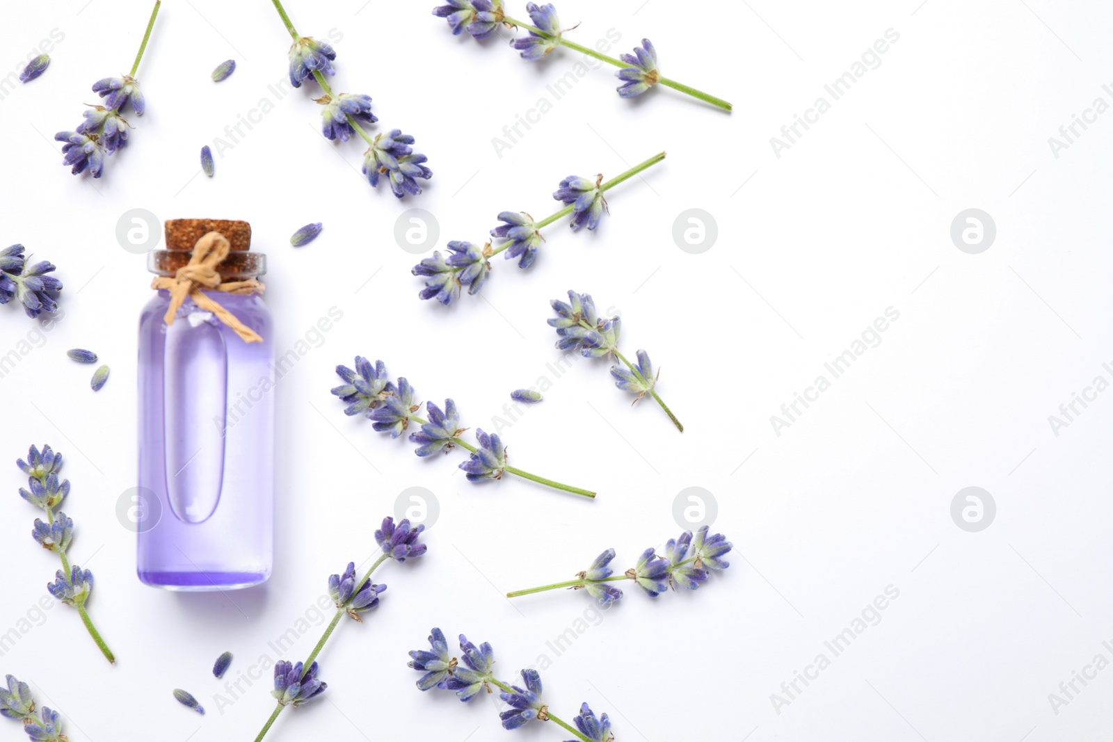 Photo of Composition with lavender flowers and natural essential oil on white background, top view