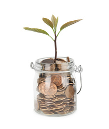 Photo of Glass jar with coins and plant isolated on white