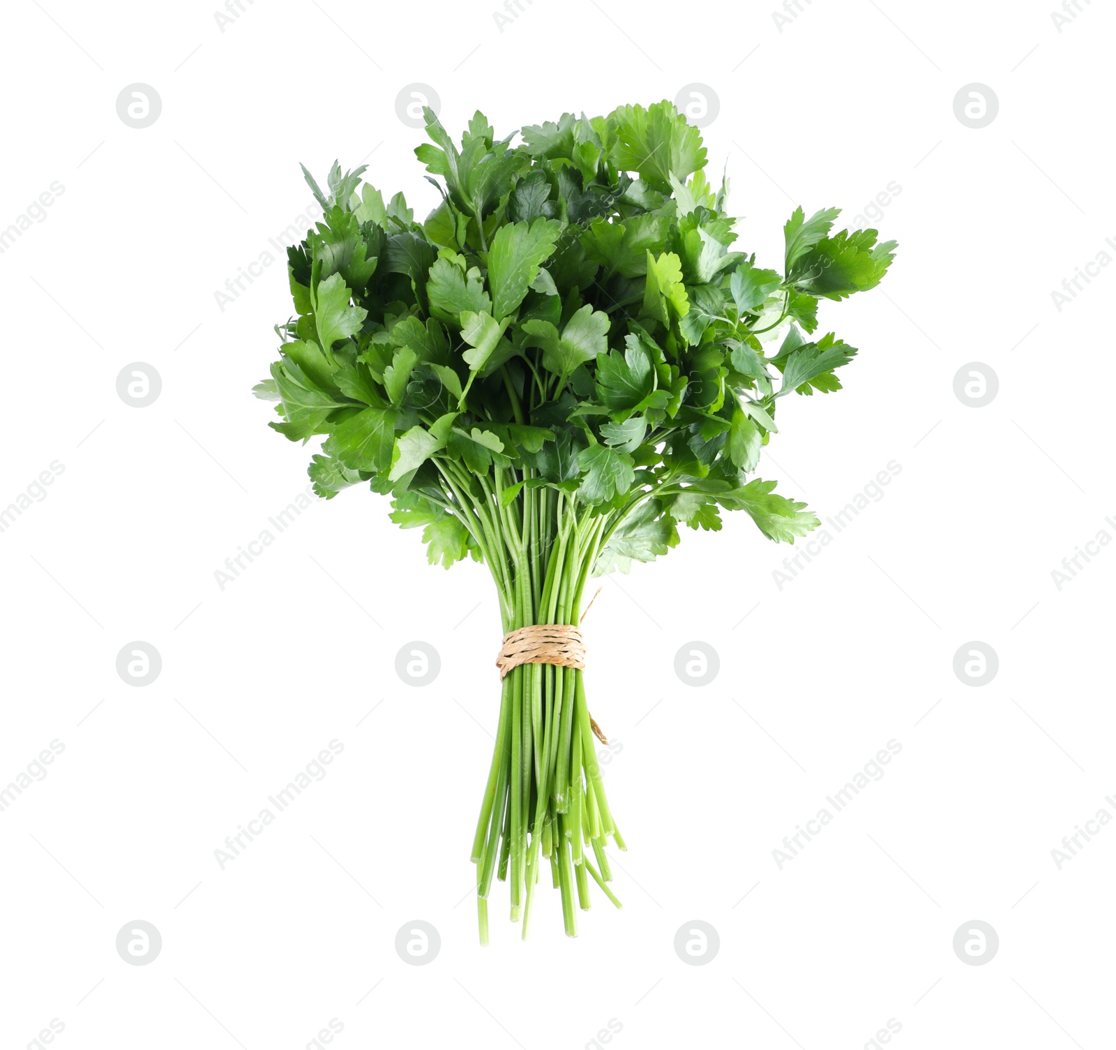 Photo of Bunch of fresh green parsley isolated on white