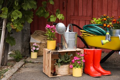Beautiful plants and different gardening tools outdoors