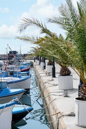Photo of Beautiful view of city pier with moored boats and palms on sunny day