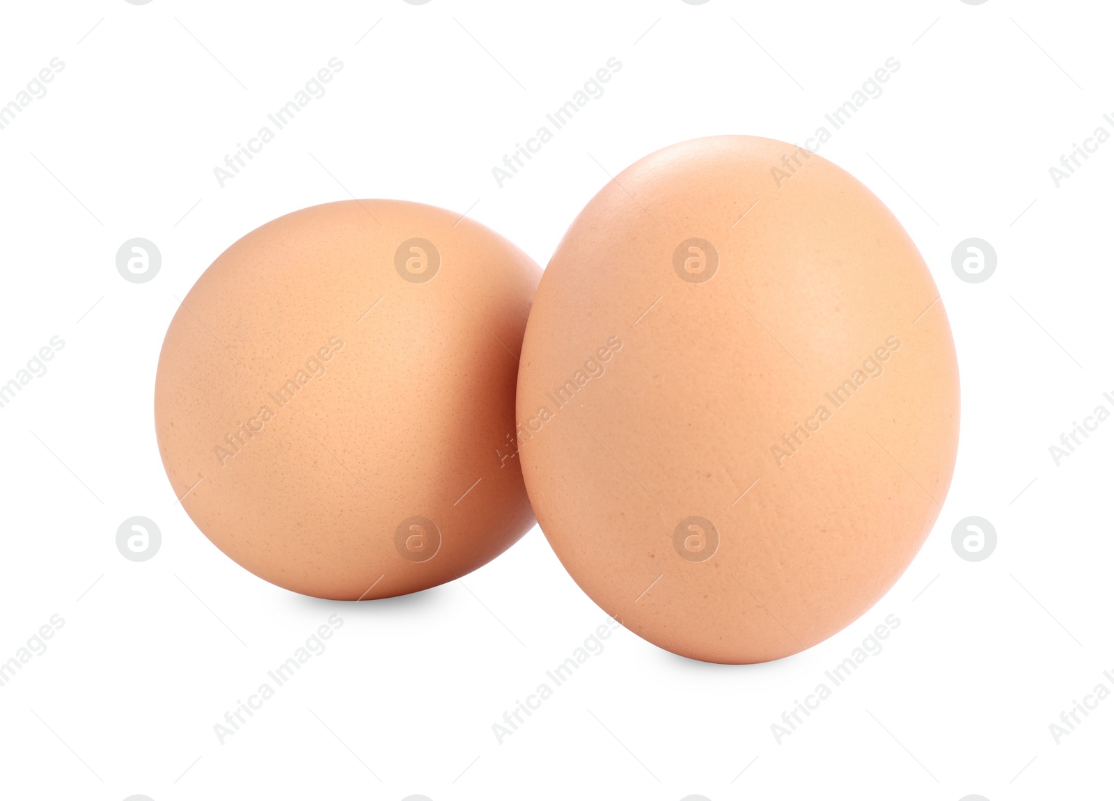 Photo of Two raw chicken egg isolated on white