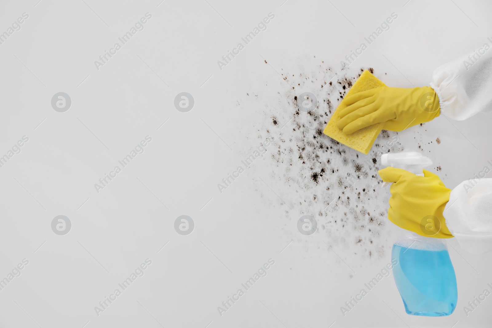 Image of Woman in protective suit and rubber gloves using mold remover and rag on wall, closeup