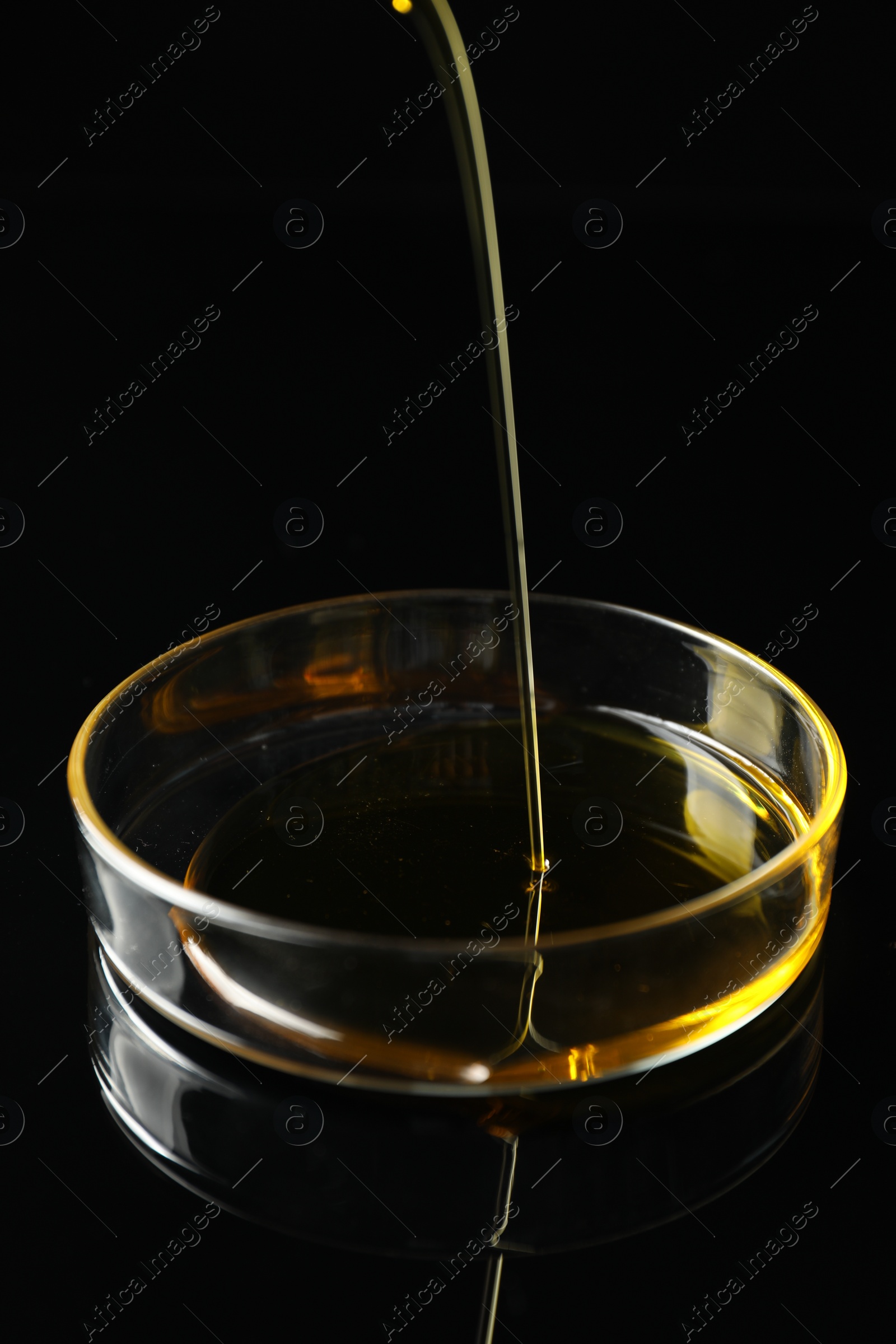 Photo of Pouring yellow oil into Petri dish on black background, closeup